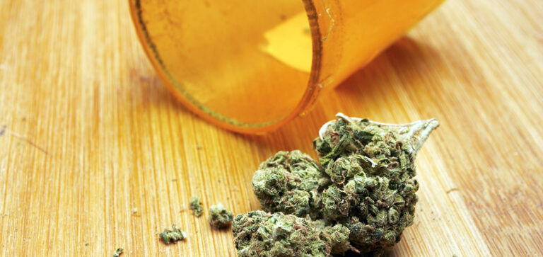 marijuana card